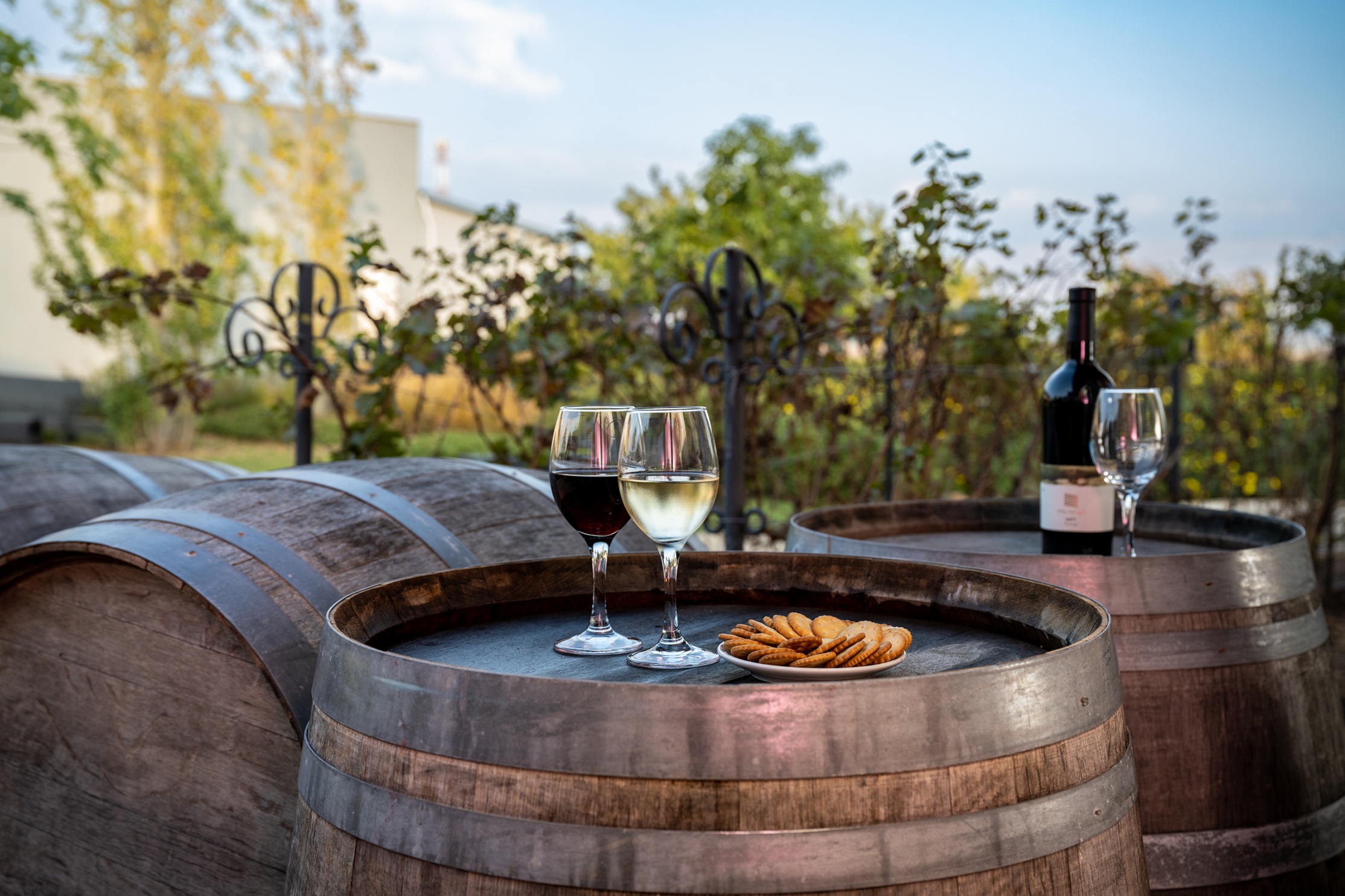 חגי תשרי במלון גליליון (צילום: יח