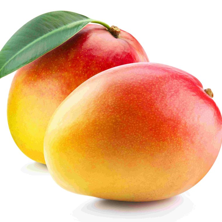 shutterstock_מנגו צילום