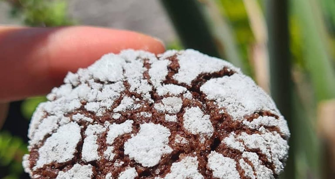 עוגיות שלגיה עם מלא סוכר – כולל טיפים